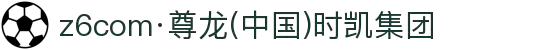 z6com·尊龙(中国)时凯集团